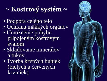 kostrovy system